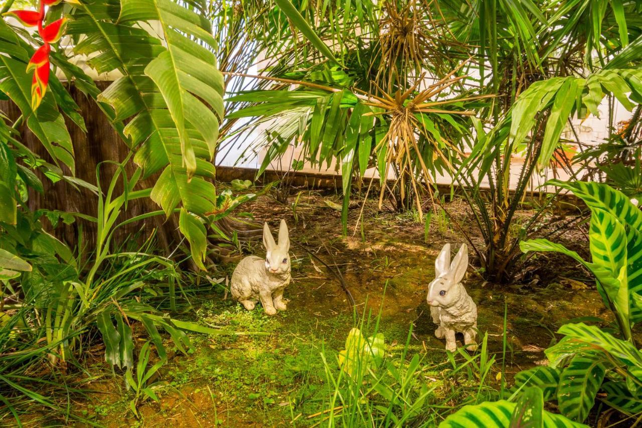 Casa Holiday Resorts 亚里库 外观 照片
